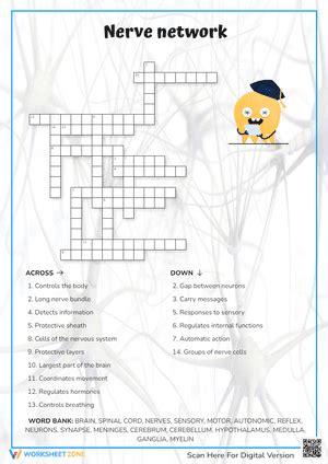 Crossword clue nerve network - Our crossword solver found 10 results for the crossword clue "nerve network".
